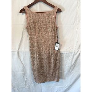 NWT Adrianna Papell Blush Crochet Lace Dress Size4